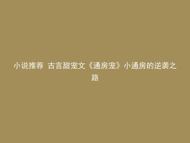 小说推荐 古言甜宠文《通房宠》小通房的逆袭之路