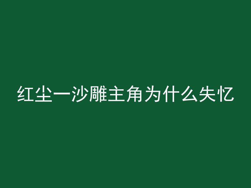 红尘一沙雕主角为什么失忆